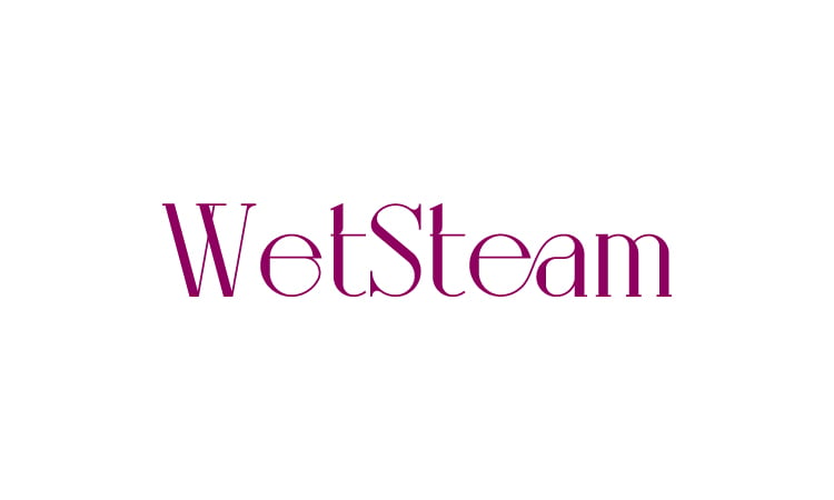 WetSteam.com - Catchy premium domain names for sale